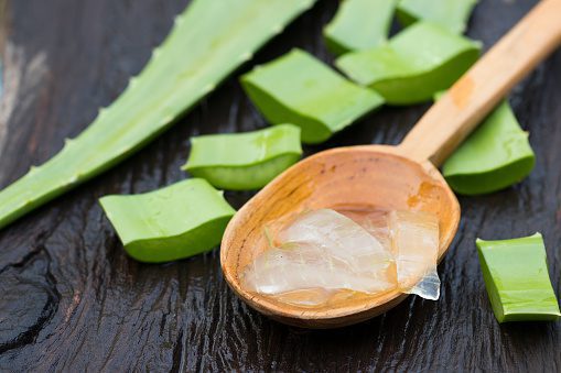 aloe vera