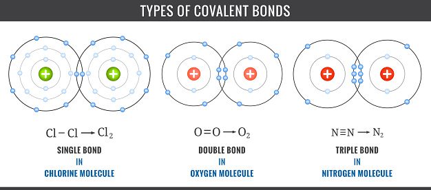 Three types of covalent bonds