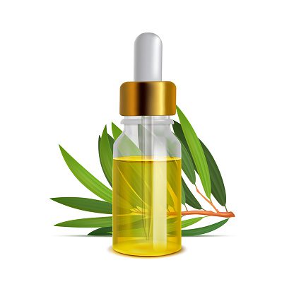 Tea Tree Oil Bottle with Leaves.