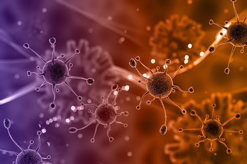 virus cells