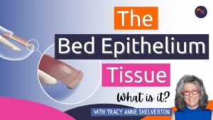 nail bed epithelium