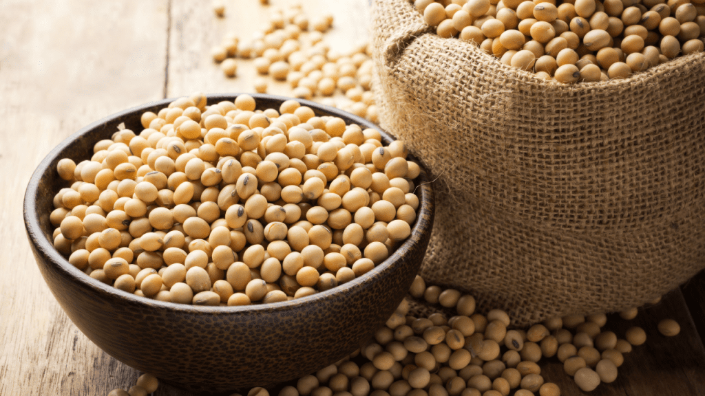 Soy